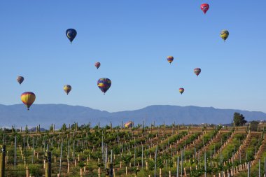 Temecula balon ve şarap Festivali 2015 yükselen sıcak hava balonları