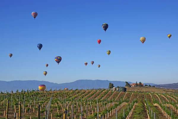 Temecula balon ve şarap Festivali 2015 yükselen sıcak hava balonları