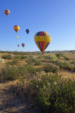Sıcak Hava balonlar 2015 Temecula balon ve Güney Kaliforniya'da şarap Festivali