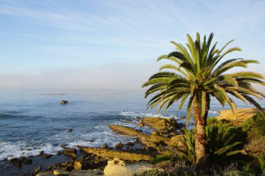 California Sahili ve beach park