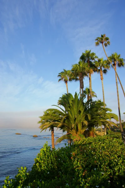 Pasifik Okyanusu Beach sabahı California Sahili boyunca — Stok fotoğraf