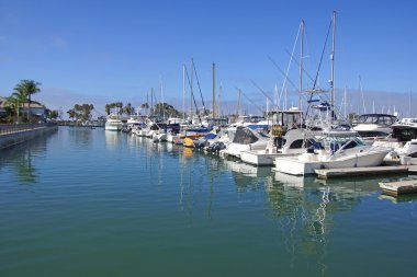 Dana Point limandaki tekneler