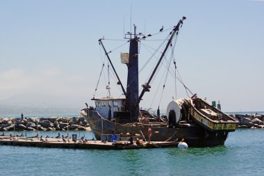 Harbor'a geri dönen balıkçı teknesi
