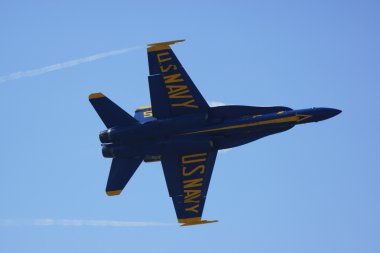 Jet avcı uçağı F-18 Hornet Blue Angels uçuş gösteri filosu