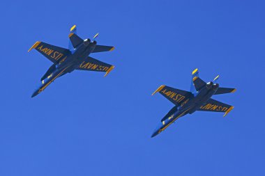 Jet avcı uçağı F-18 Hornet Blue Angels uçuş gösteri filosu