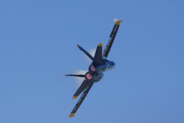 Jet avcı uçağı F-18 Hornet Blue Angels uçuş gösteri filosu
