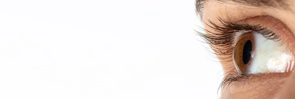 Foto macro-ocular. Ceratocone - doença ocular, afinamento da córnea na forma de um cone. O plástico da córnea. Macro close up white background text copyspace — Fotografia de Stock