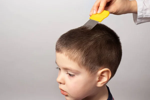 Arts Controleert Aanwezigheid Van Luizen Een Klein Kind Met Behulp — Stockfoto