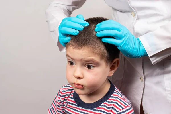 Педиатр в перчатках проверит наличие вшей и гнид у маленького ребенка. Педикулез в детском саду, профилактическое обследование головы и волос. — стоковое фото
