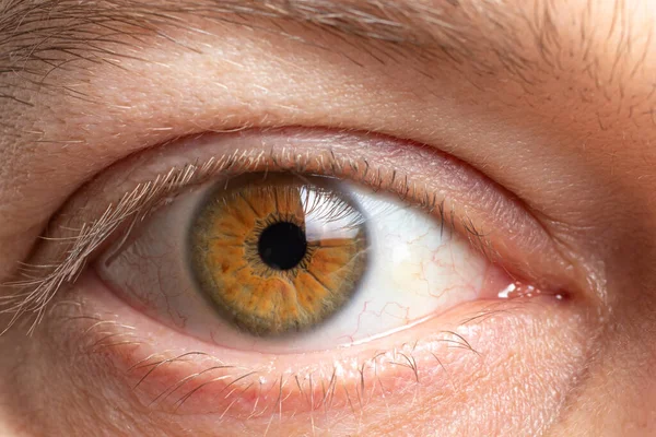 男性の目のマクロ写真は茶色です 健康的な人間の目 — ストック写真