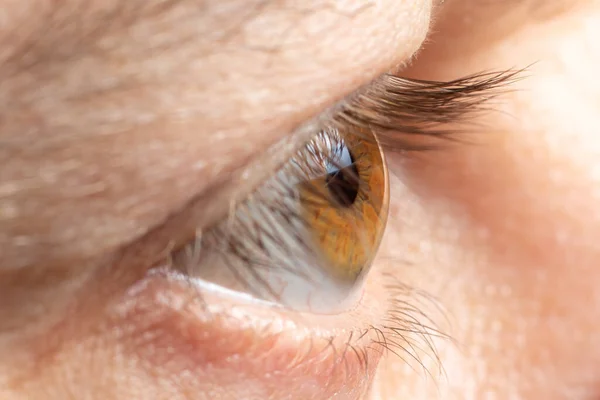 Ojo Humano Sano Foto Macro Córnea Normal Las Pestañas Del —  Fotos de Stock