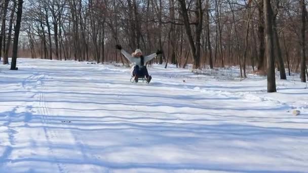 Kvinna Åker Slädar Snöig Skog Från Ett Berg Vintern Flicka — Stockvideo