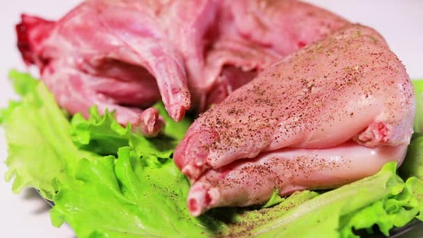 Masak Taburan Daging Kelinci Dengan Peterseli Daging Bumbu Daging Dalam — Stok Video