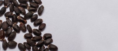 Fesleğen tohumlarının yakın plan fotoğrafı. Bahçeye ekin, sebze bahçesi, bahçıvanlık ve tarım