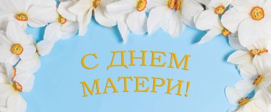 Beyaz nergisler mavi arka planda, Rus Anneler Günü 'nde yazılı. Tatil için zarif minimalist bayrak