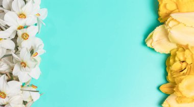 Yeşil bir zemin üzerinde nergislerden ve lalelerden oluşan güzel bir çerçeve ve metin için yer var. Tatil için tebrik kartları ya da mağazalarda indirimler için yaz ve bahar indirimleri.