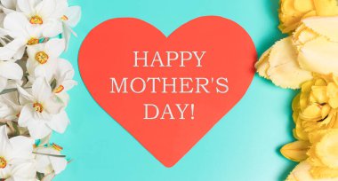 Beyaz nergisler ve üzerinde 