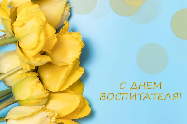 Горизонтальный Баннер Желтыми Цветами Тюльпана Синем Фоне Надписью Русском Языке — стоковое фото