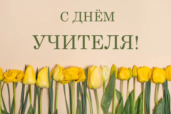 Horizontální přání s nápisem v ruském Happy Teachers Day na béžovém pozadí se žlutými tulipány. — Stock fotografie