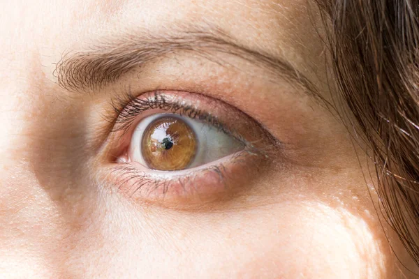 レンズクローズアップマクロを持つ人間の目。眼科学,近視や多動症の補正. — ストック写真