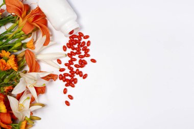 Biyolojik katkı tabletleriyle pankart ve metin kopyaları için yeri olan tıbbi bitkiler. Lutein, bitkisel ilaçlar.