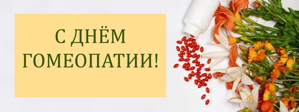 Banner s bioaditivními tabletami a léčivými rostlinami s nápisem v Ruském dni veselé homeopatie — Stock fotografie