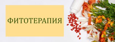 Biyolojik katkı tabletleri ve şifalı bitkilerle dolu afiş Rus Phytotherapy 'sinde yazılı.