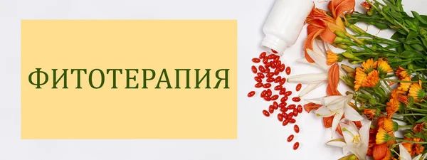 Banner with bioadditive tablets and medicinal plants with the inscription in Russian Phytotherapy — Stock Photo, Image