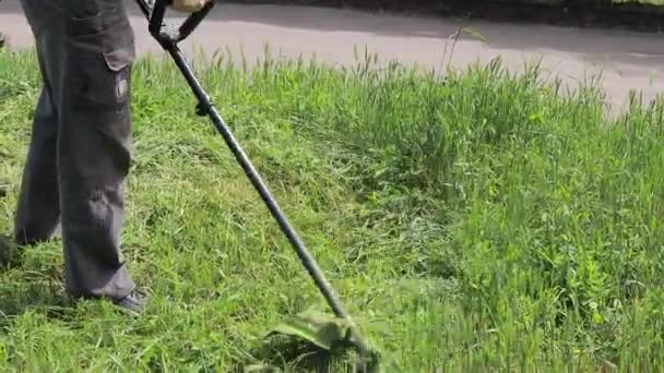 Um homem com um cortador de relva elétrico corta a relva. Para uma loja de equipamentos de jardinagem. — Vídeo de Stock