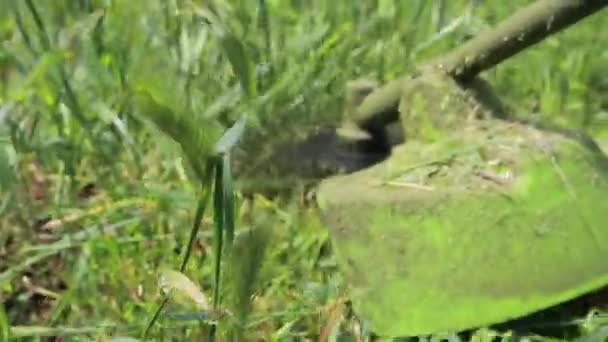 Ruční sekačka seká trávu v létě v zahradě. Pro obchod se zahradním vybavením. — Stock video