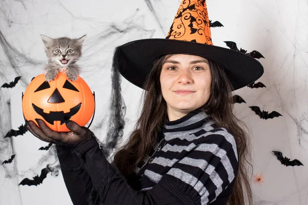 모자를 쓰고 마녀 복장을 한 여자가 고양이와 함께 양동 이 호박을 들고 있다. 할로윈 사람들 과 동물들. — 스톡 사진