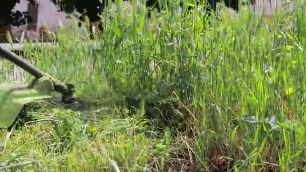 El yapımı bir çim biçme makinesi yazın bahçede çimleri biçer. Bahçe malzemeleri mağazası için.. — Stok video