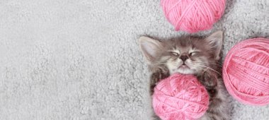 Kedi afişi - küçük tüylü gri bir kedi yavrusu pembe iplik yumaklarıyla uyur. Metin için alanı kopyala.