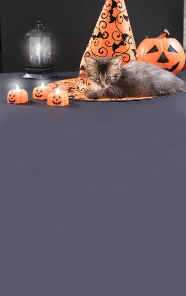 Függőleges banner hely a szövegnek. A Halloween cica macska ül mellett a boszorkányok kalap egy fekete háttér. — Stock Fotó