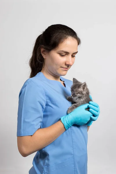 一名身穿医疗制服和手套的兽医猫医生正在抱着一只小猫。兽医诊所。垂直方向. — 图库照片