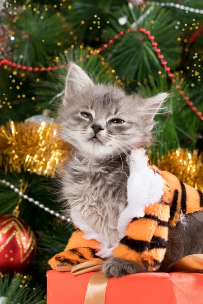 Nytt år 2022. En kattunge i tigerdräkt nära granen och julklappar. Vertikalt vackert vykort. — Stockfoto