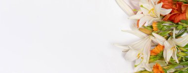 Turuncu çiçekli yatay uzun pankart beyaz arka planda yazı için yeri olan kraliyet tacı zambağı. Doğum günü kutlamaları için tebrik kartı, öğretmenler günü, anneler günü.