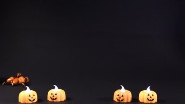 Cadılar Bayramı kedisi siyah arka planda turuncu şekerleri sever. Gri kedi tatil için hazırlanıyor.