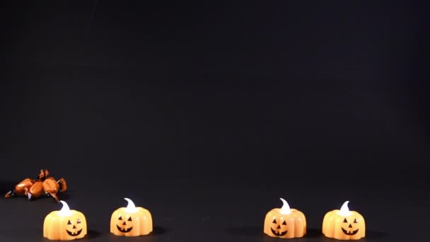 Halloween gato va para naranja caramelo en un fondo negro. Gatito gris preparándose para las vacaciones — Vídeos de Stock