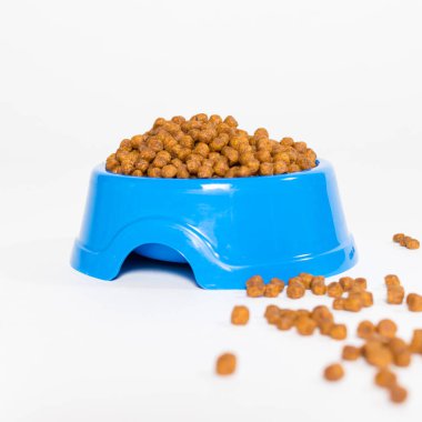 Beyaz arka planda hayvan için kuru yiyecek içeren mavi tabak evcil hayvan dükkanının kare kartını ayır