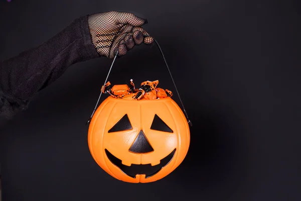 Відро цукерок у вигляді гарбузового ліхтаря Джек на чорному тлі в руці в сітчастій рукавичці. Доступ до Хелловіну. — стокове фото