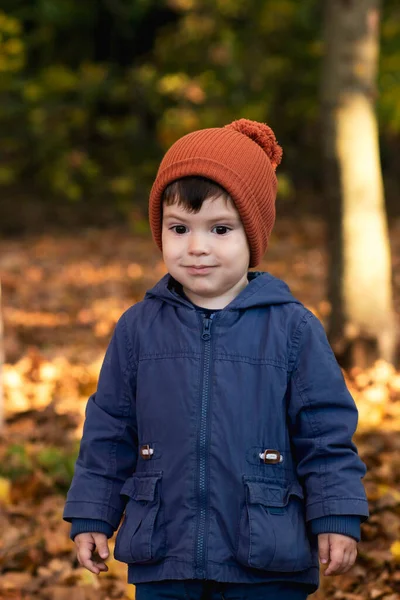 Un niño de 3 años con un sombrero naranja y una chaqueta azul camina en el bosque de otoño y mira hacia abajo. — Foto de Stock