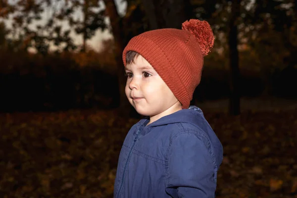 Un niño de 3 años con un sombrero naranja y una chaqueta azul camina en el bosque de otoño y mira hacia otro lado. — Foto de Stock