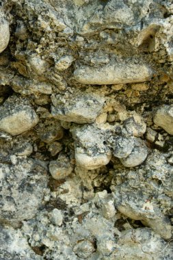 Weathered Stone Wall Texture Showing Cracks and Natural Vertical Patterns.