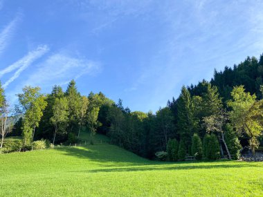 Beautiful nature, wooded mountains and meadows, blue sky.