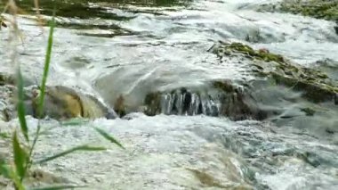 Güçlü Akıntılı Dağ Nehri, Yavaş Hareket Videosu