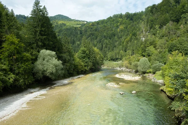 Yazın Orman Irmağı ile Güzel Doğal Arkaplan.