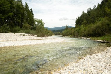 Wild Mountain River Flowing, Scenic Alpine Landscape