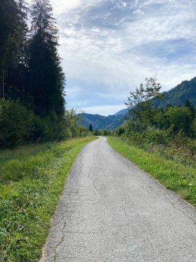 Trail Between Green Meadows with Forest in the Background.