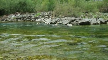 Turbulent Water Flow of Fast River, Nature Scene.